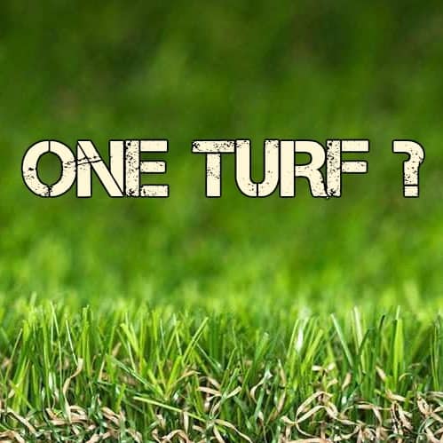 One Turf Concept Announced At Turf Industry Meeting In Las Vegas!